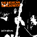 Mexican Blackbirds